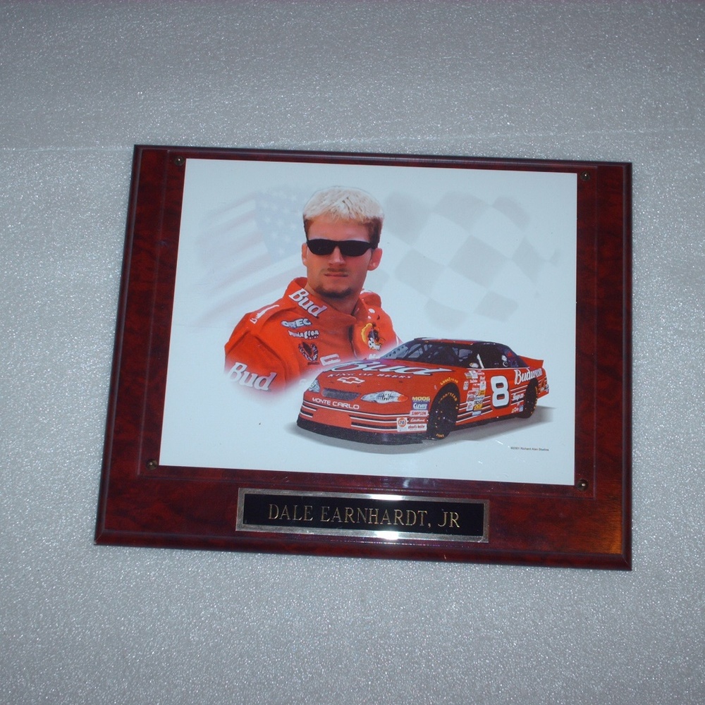 Vintage Dale Earnhardt Jr. wooden plaque